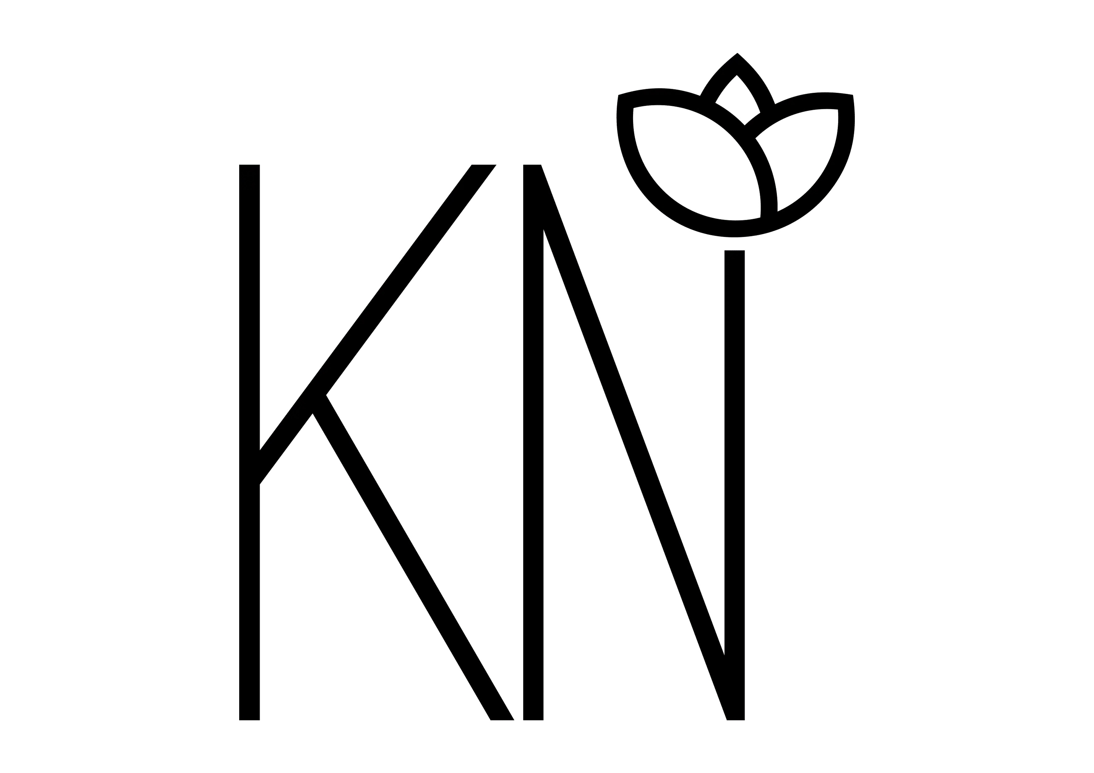 logo-kn-preta